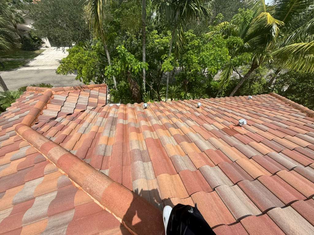 Landscaping work by The Fresh Feel