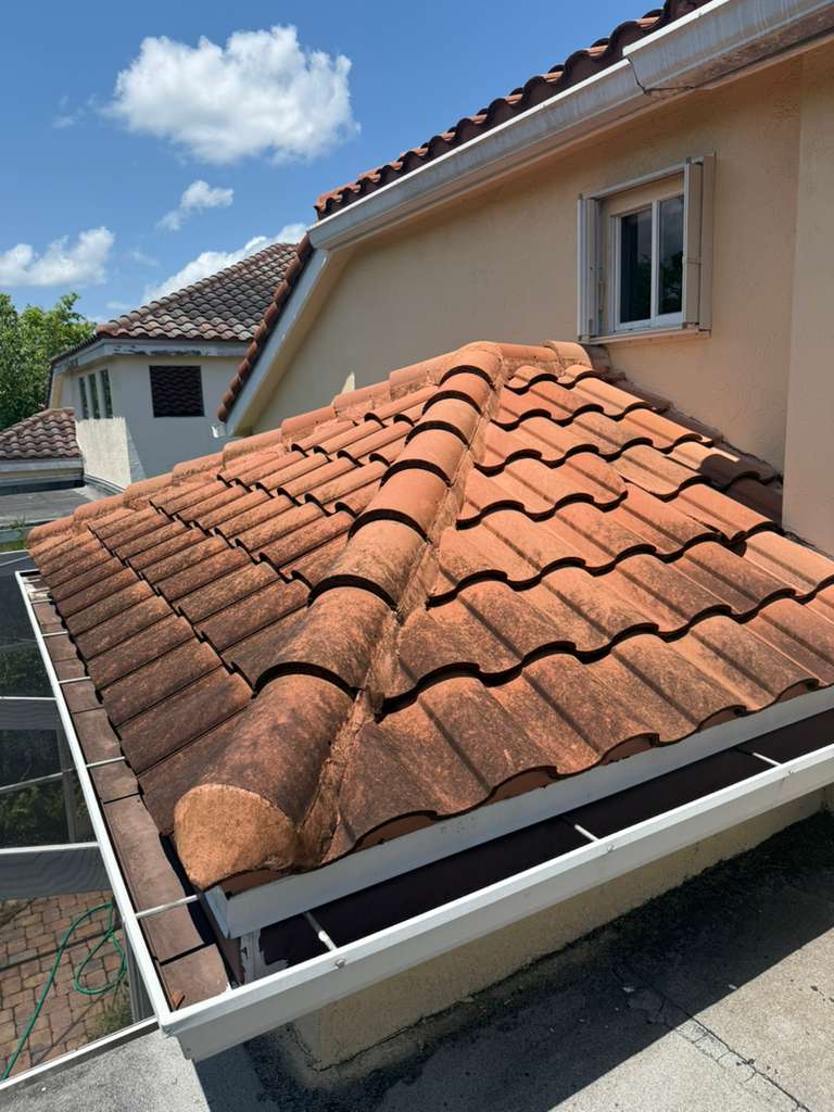 Garden maintenance South Florida