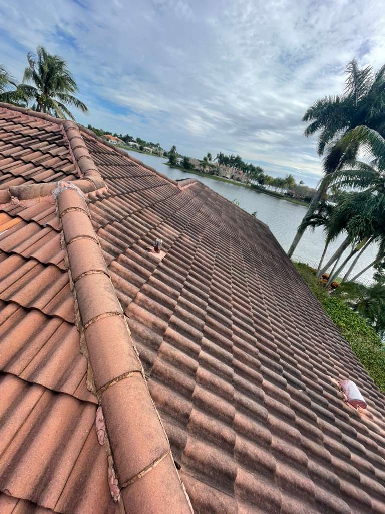 Property maintenance services